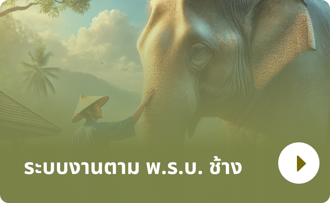 ELEPHANTS